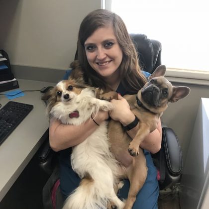 A team member sitting at a desk and holding two dogs. The dog on the right is a tan french bull dog and the dog on the left is a brown and white Papillion